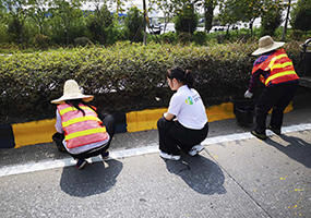 【广东韶关南雄市】323国道隔离墙警示反光漆涂刷工程